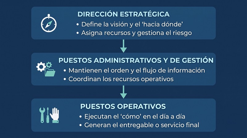 Infografía de la jerarquía y funciones de los puestos de trabajo en una empresa